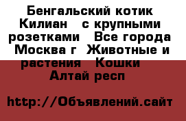 Бенгальский котик Килиан , с крупными розетками - Все города, Москва г. Животные и растения » Кошки   . Алтай респ.